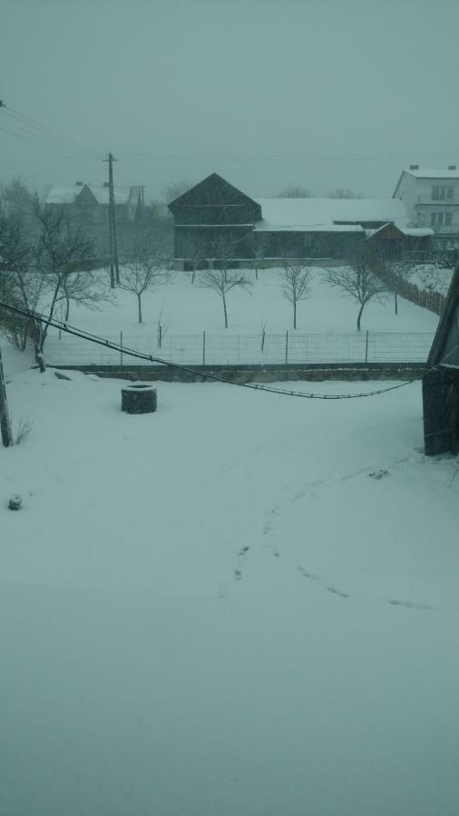 Apartament U Jawora Grywald Esterno foto